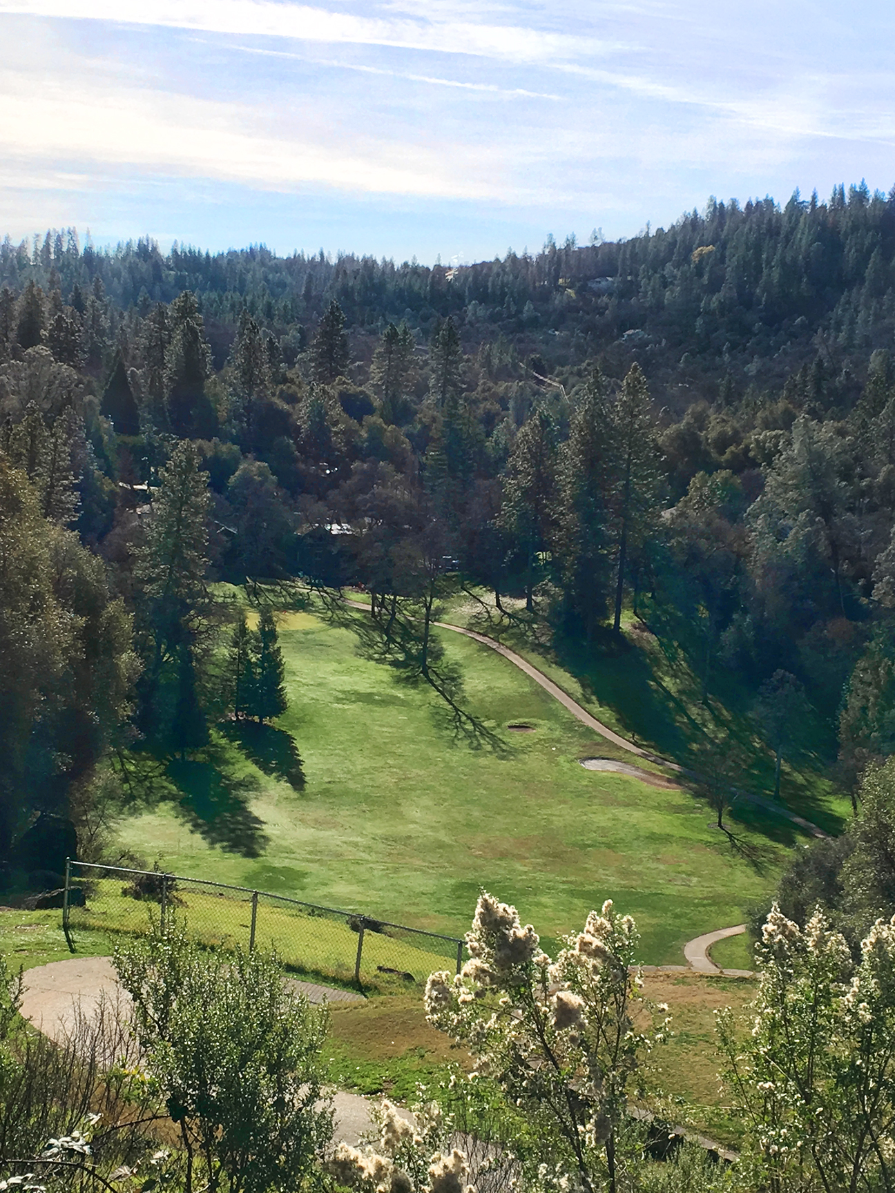 Lake at the Pines Updating a 50Year Old Golf Course Case Study